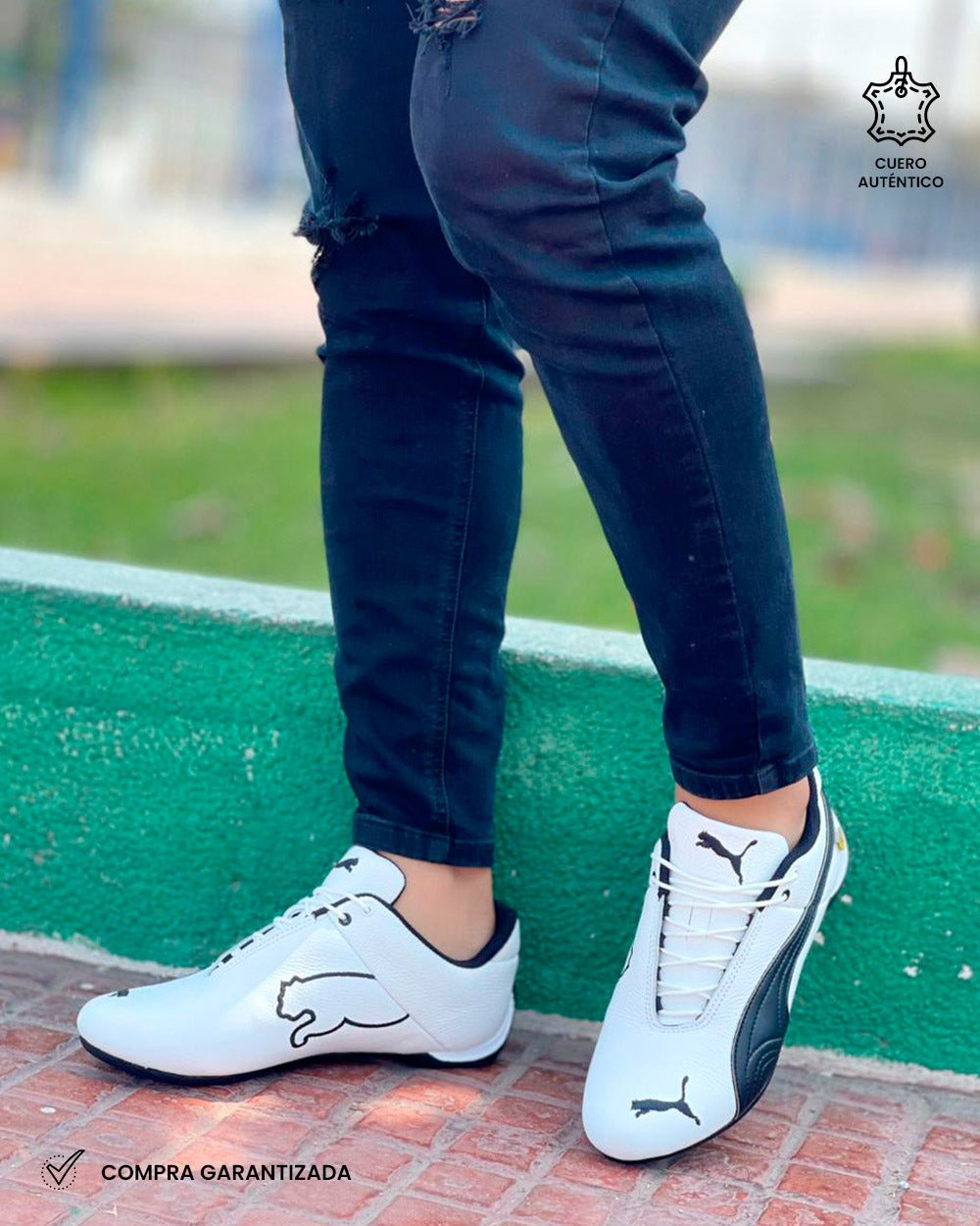 FERRARI NEW | Blanco Negro