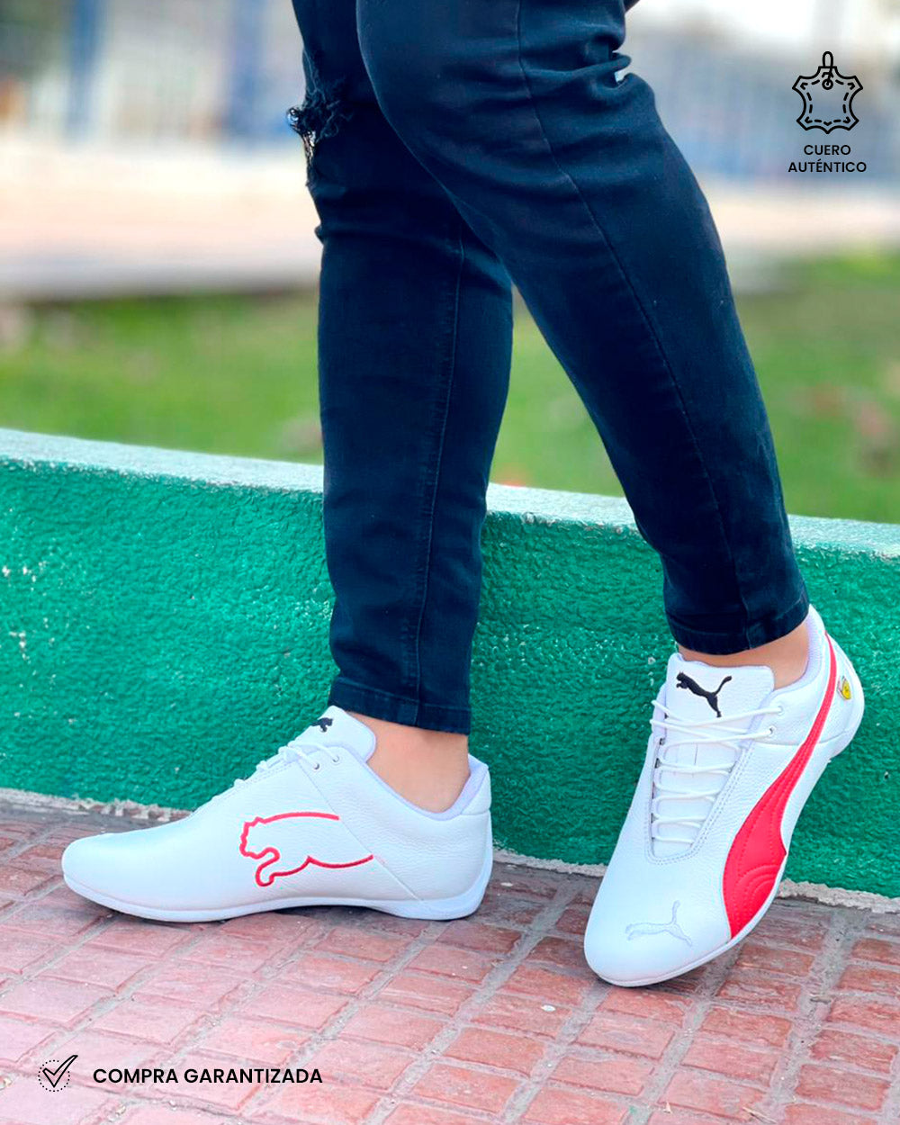 FERRARI NEW | Blanco Rojo