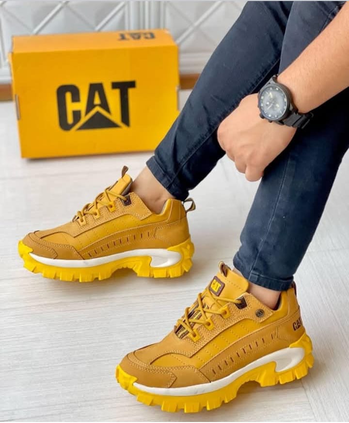 INTRUDER TFS LÚCUMA