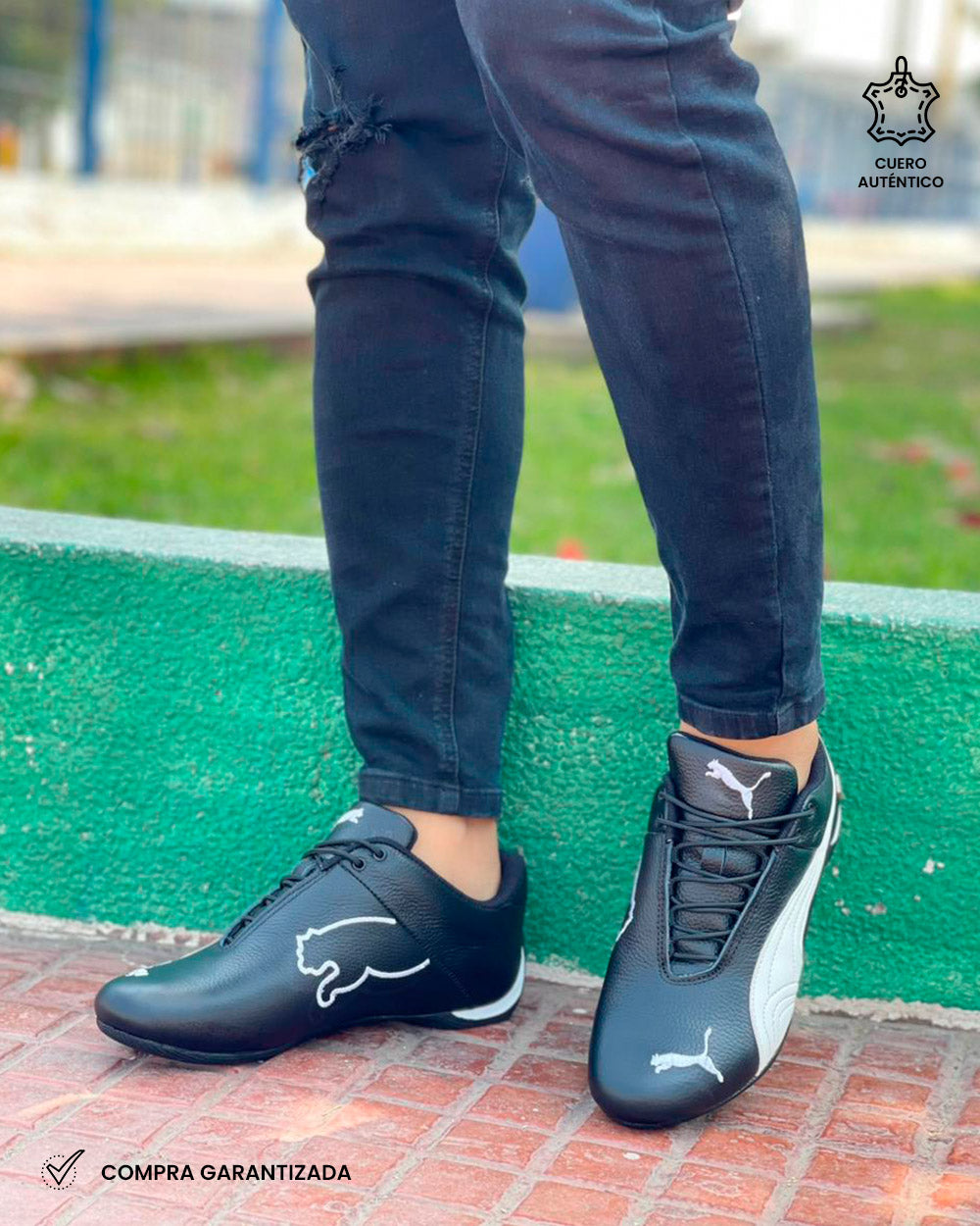 FERRARI NEW | Negro Blanco